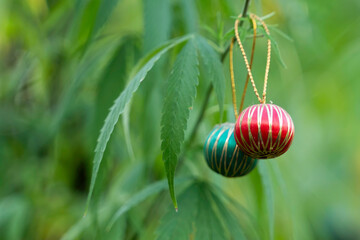 Christmas toys hang on marijuana tree, newyear and christmas concept