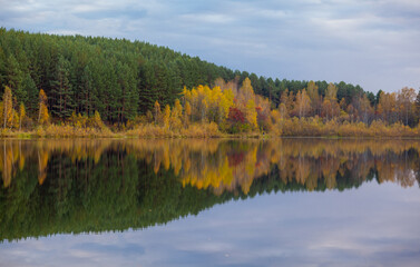 Colorful foliage tree reflections in calm pond water on a beautiful autumn day. A quiet and beautiful place to relax.