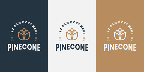 clean retro pine cone logo design vector with business card template