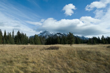 Fototapeta premium Field in the mountains