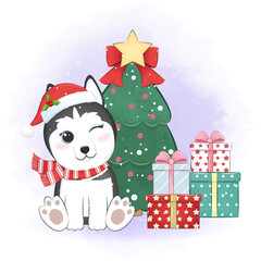 Cute Siberian Husky dog and gift box with Christmas tree. Christmas season