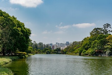 Fototapeta na wymiar Ibirapuera Park in São Paulo. Natural landscape with the city in the background and the blue sky.