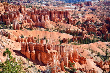 Hoodoos Bryce Canyon National Park