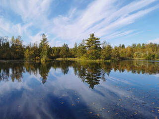 The mirror surface of a forest lake, in which trees with yellowing leaves and the sky with beautiful clouds are reflected.