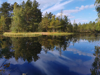 The mirror surface of a forest lake, in which trees and the sky with beautiful clouds are reflected.