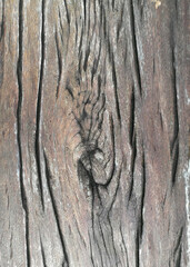 Natural old wood texture. Abstract background, Surface of old wood background for design and decoration.