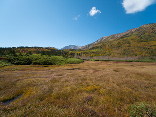 紅葉の栂池自然園（浮島湿原）