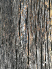 Old wood texture. Abstract background, Surface of old wood background for design and decoration.