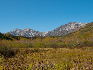 紅葉の栂池自然園