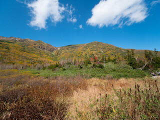 紅葉の栂池自然園