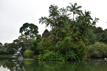 Swan lake with swan sculpture, nature park botanic garden Singapore