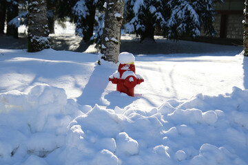 A red fire hydrant partially buried in snow - Powered by Adobe