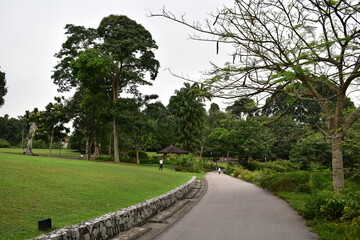 Walk Way Path Trek, Botanic Garden National Park Singapore