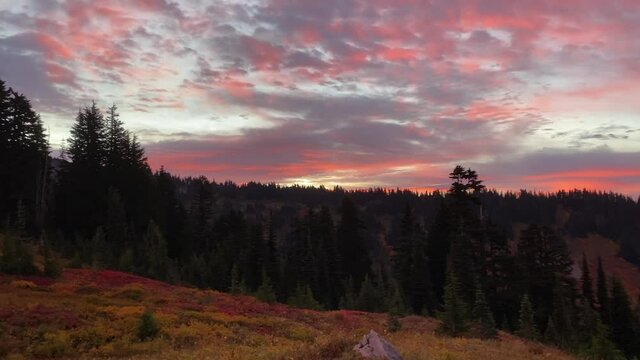 Deep pink sunrise colors paint the clouds over Tatoosh Mountain Range as seen from Paradise's Skyline Trail in Mt Rainier National Park. 