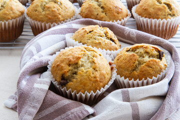Freshly baked homemade banana chocolate chip muffins; Out of the oven muffins in muffin cups