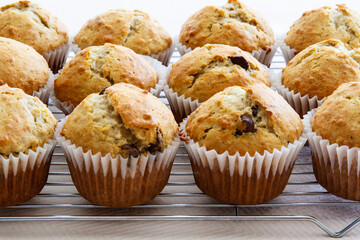 Freshly baked homemade banana chocolate chip muffins; Out of the oven muffins in muffin cups