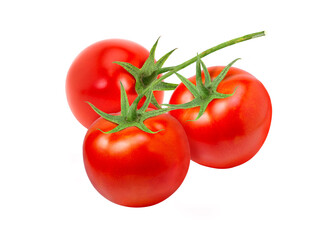 tomato branch isolated on white background