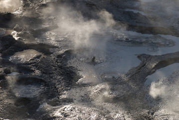 New Zealand Geothermal 
