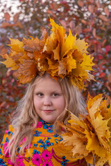 Naklejka na ściany i meble Autumn. A girl with a wreath of maple leaves on her head holds fallen autumn yellow beautiful maple leaves in her hands.