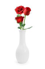 Red Rose in Vase on white background