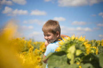 Fototapeta premium Happy child field Freedom and happiness concept on sunflower outdoor. Kid having fun in green spring field against blue sky background. Healthy and active lifestyle concept