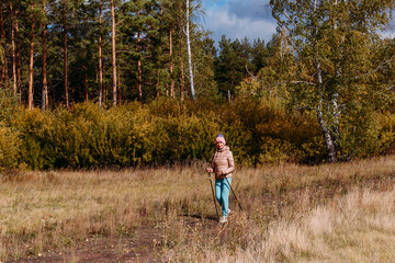 Naklejka na ściany i meble elderly sixty-year-old woman in sportswear is engaged in Nordic walking with sticks in the forest in the autumn