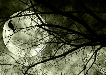 満月の夜に枯れ木にとまる鳥のイラスト
