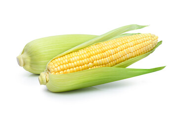 corn isolated white