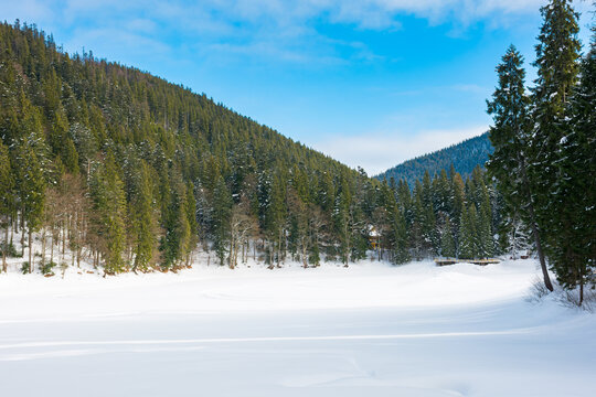 winter landscape in mountains. beautiful scenery with coniferous forest on a blight sunny day. frozen lake covered with snow. synevyr national park, ukraine