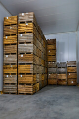 Boxes with apples in a thermal chamber for long storage.
