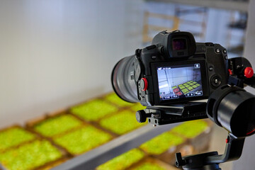 The camera removes boxes of apples from above.