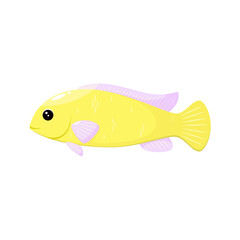Cute yellow fish in cartoon style on a white background.

