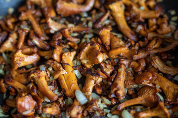fry raw chanterelle mushrooms with onions, Flat Lay, horizontal