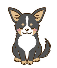 おじぎするチワワ（トライカラー）