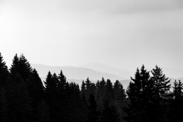 View to distant mounatins and forest