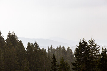 View to distant mounatins and forest