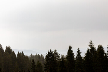 View to distant mounatins and forest