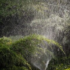 Modern device of irrigation garden. Irrigation system - technique of watering in the garden. Lawn sprinkler spraying water