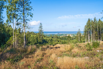 Clearcutting area in a forest with awesome view to the countryside