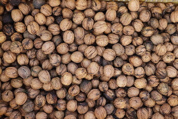 a lot of brown nuts