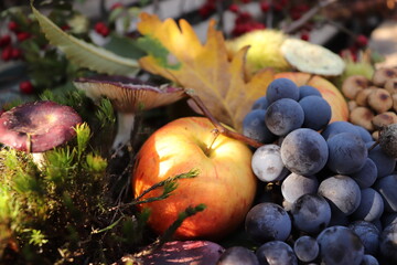 Thanksgiving image, autumn fruits, apples, grapes, chestnuts, leaves, mushrooms