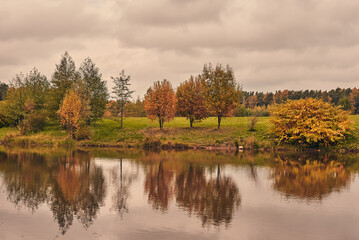 Autumn landscape. Trees with yellow leaves around a small lake on a cloudy day.