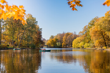 Walking in a park in autumn, some golden trees