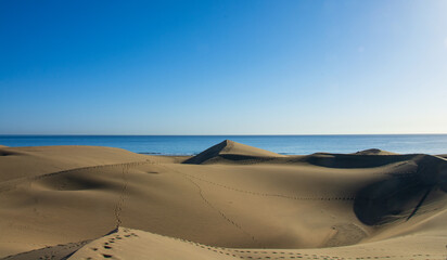 Fototapeta na wymiar the great dunes of the Maspalomas desert