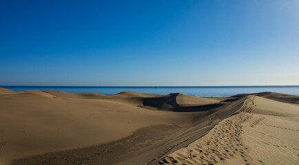 Fototapeta na wymiar the great dunes that reach the ocean