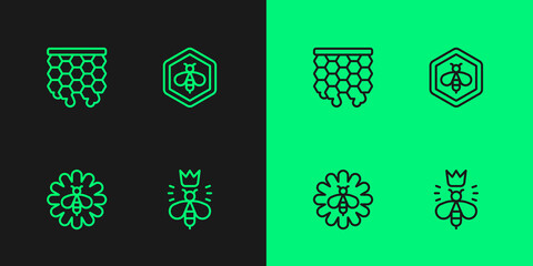 Set line Queen bee, Bee on flower, Honeycomb and and honeycomb icon. Vector
