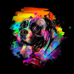 Poster Boxer dog head with creative colorful abstract elements on background © reznik_val