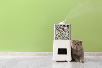 Cute cat and modern humidifier near color wall