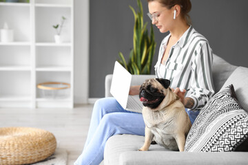 Cute pug dog sitting on sofa in room