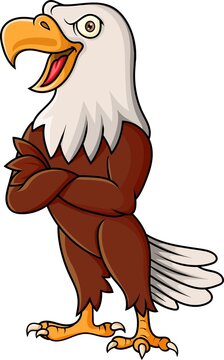 Cartoon eagle posing on white background